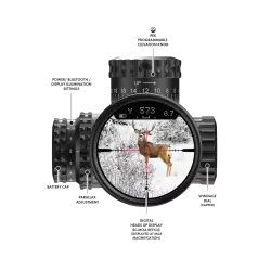 Lunette de Chasse Burris VERACITY PH 3-15X44