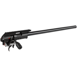 Carabine Anschutz 1761 APR PRS - 22 lR - FDE