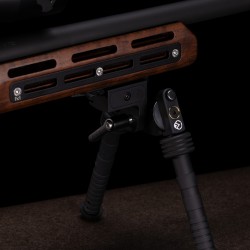 Carabine Victrix Lupus - Cal. 22 Lr - Bois et Noir - Cat B
