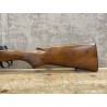 Ruger Mini 14 - Catégorie C