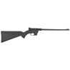 Carabine semi auto Henry Survival - Cal. 22 Lr