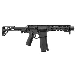 Daniel Defense AR15 PDW - Cal. 300BLK - Canon 10" - Noir